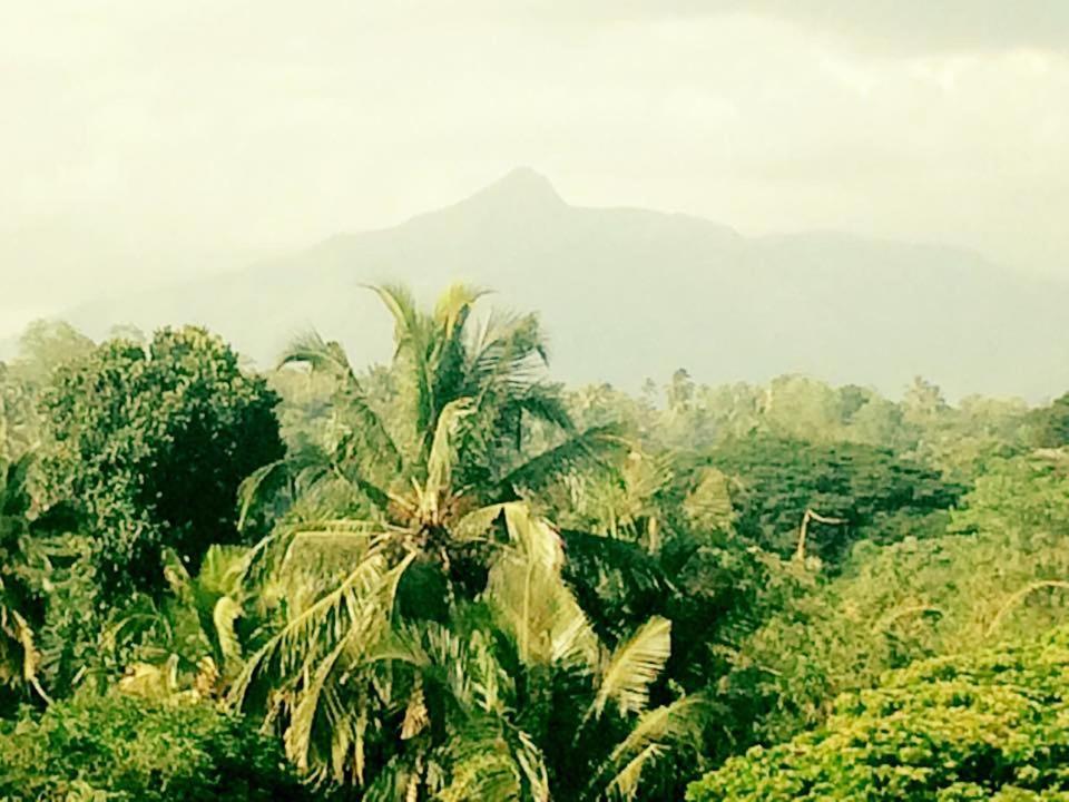 Sura Homestay Kandy Kültér fotó
